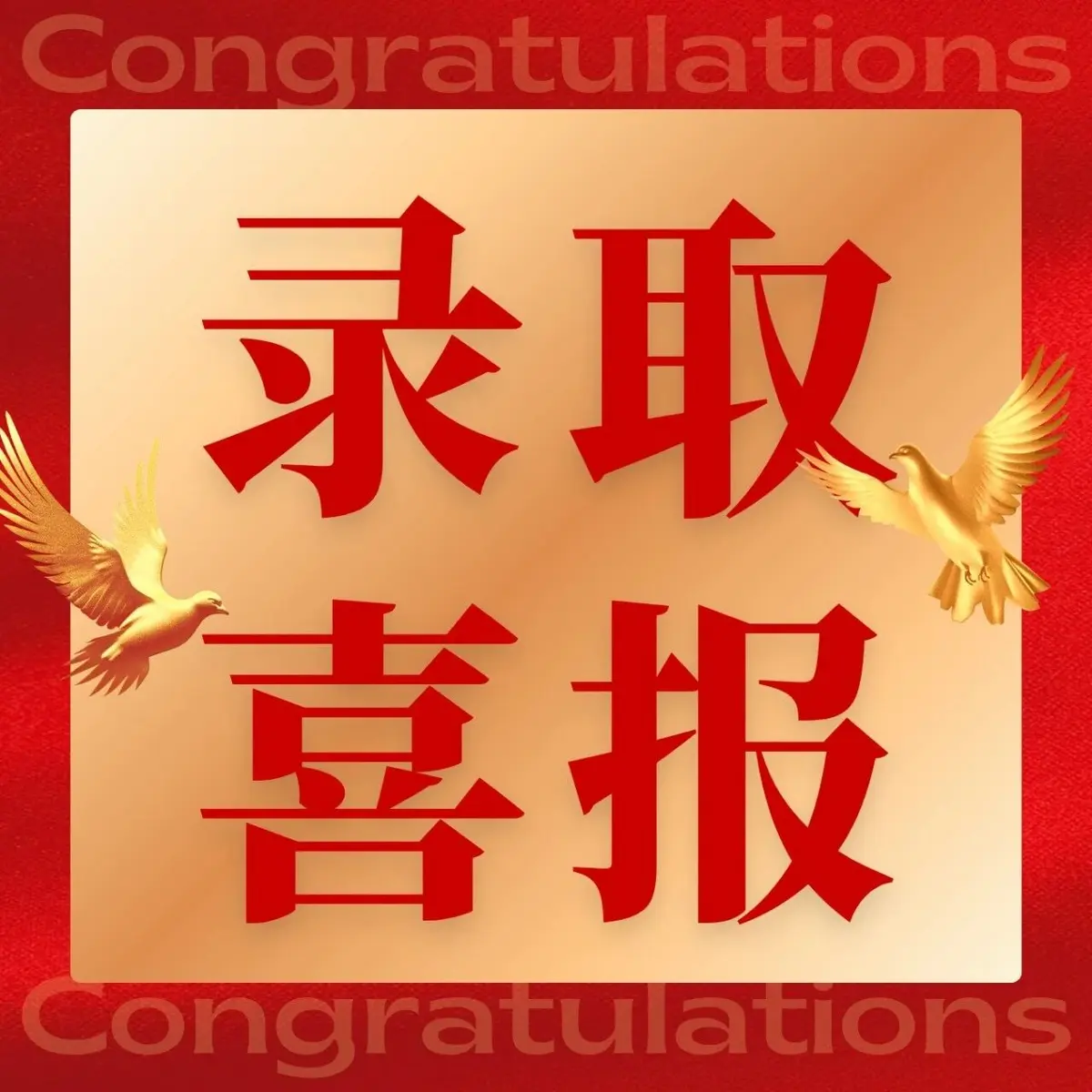 喜报|稳稳上岸!恭喜学员成功斩获香港中文大学Offer